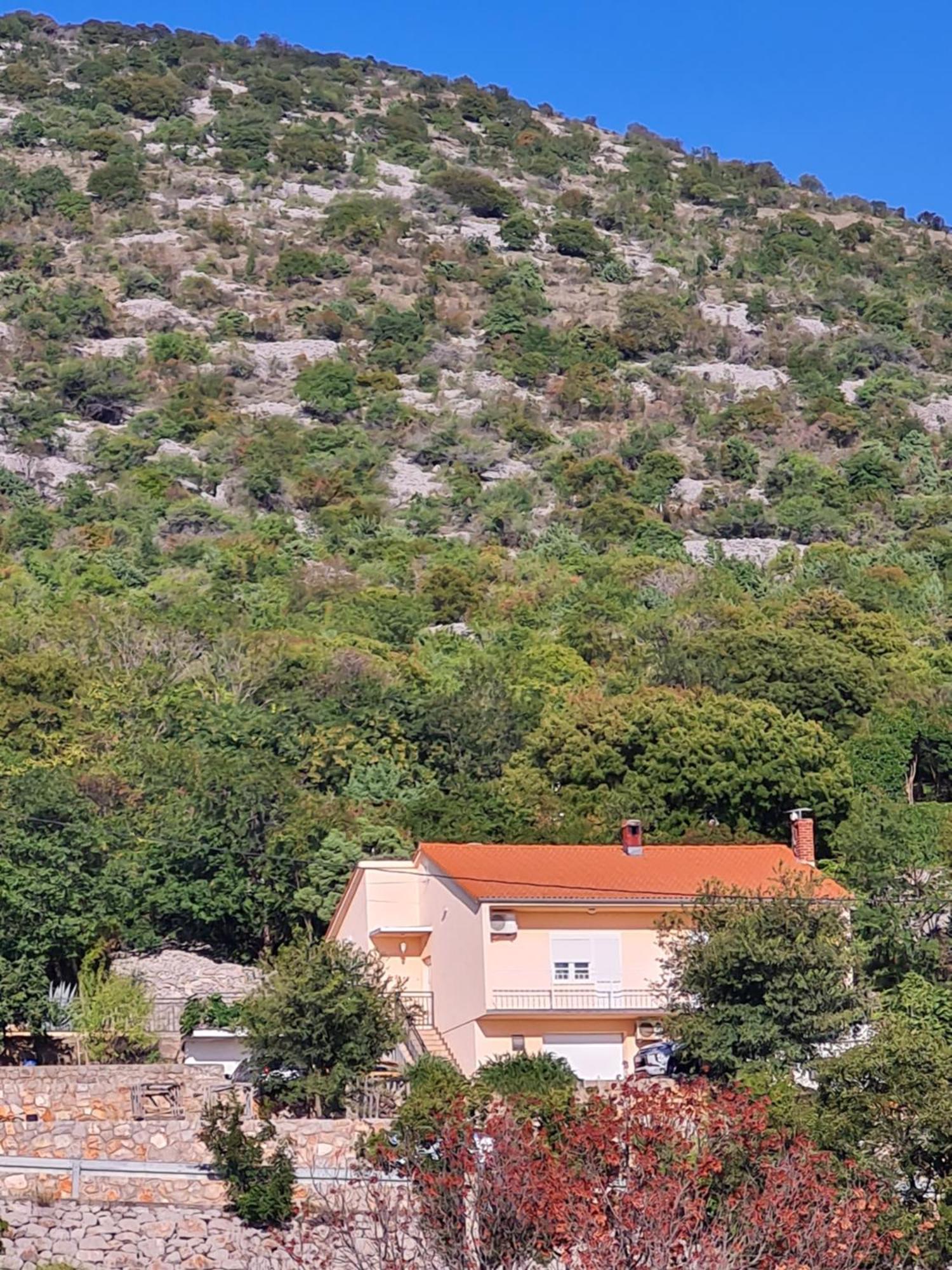 Apartman Luka Klenovica Buitenkant foto